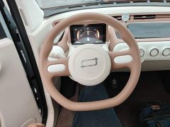 FAW Besturn Xiaoma 2025 222km Dynamic Edition - ფოტო 10