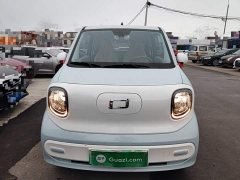 FAW Besturn Xiaoma 2025 222km Dynamic Edition - ფოტო 2