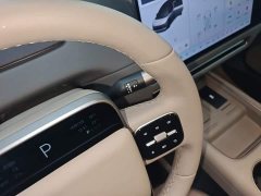 Li Auto i8 Standard Edition - ფოტო 13