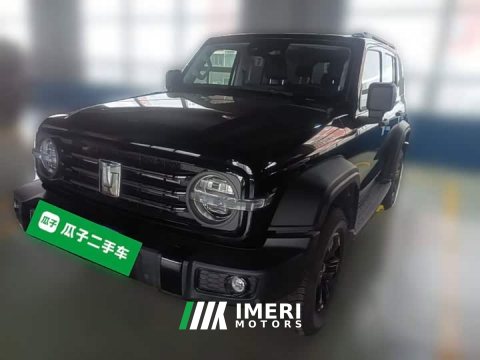 2026 Tank 300 2025 2.0T Gasoline Challenger - ავტომობილი ჩინეთიდან