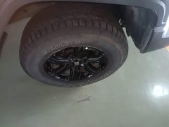 Tank 300 2025 2.0T Gasoline Challenger - ფოტო 11