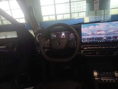 Tank 300 2025 2.0T Gasoline Challenger - ფოტო 14