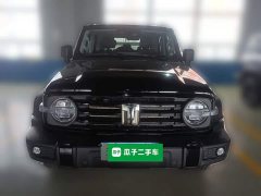 Tank 300 2025 2.0T Gasoline Challenger - ფოტო 4
