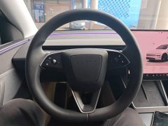 Tesla Model Y Rear-Wheel Drive - ფოტო 10