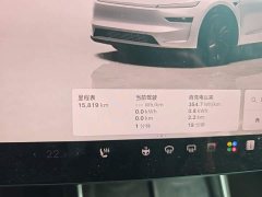 Tesla Model Y Rear-Wheel Drive - ფოტო 11