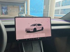 Tesla Model Y Rear-Wheel Drive - ფოტო 12