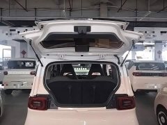 Wuling Hongguang MINIEV Macaron Fashion Edition LFP Battery - ფოტო 18