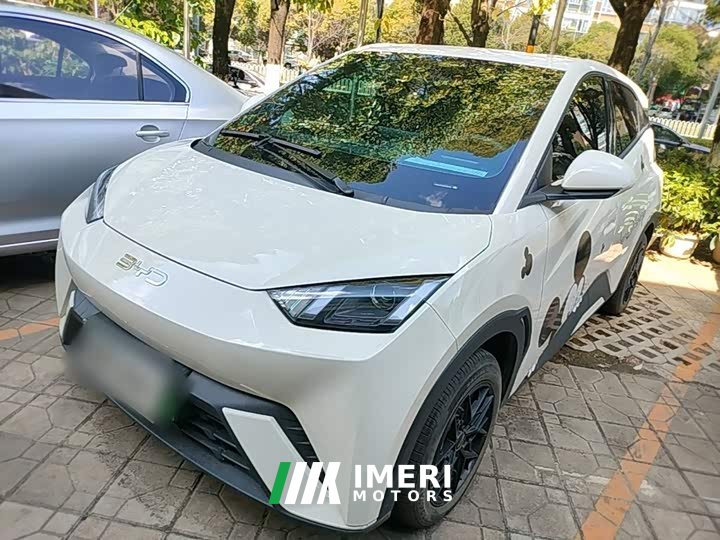 BYD Seagull 2025 305km Vitality Edition - ავტომობილი ჩინეთიდან