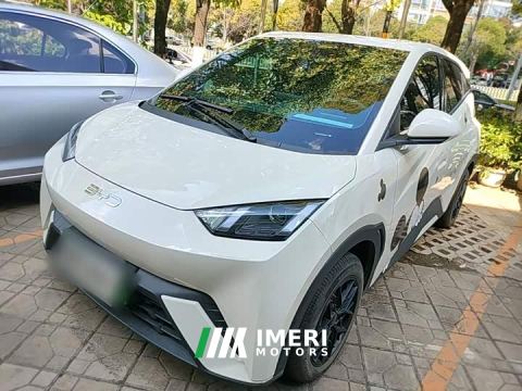 2024 BYD Seagull 305km Vitality Edition