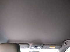BYD Seagull 2025 305km Vitality Edition - ფოტო 17