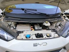 BYD Seagull 2025 305km Vitality Edition - ფოტო 19