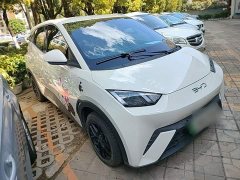 BYD Seagull 2025 305km Vitality Edition - ფოტო 3