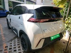 BYD Seagull 2025 305km Vitality Edition - ფოტო 4