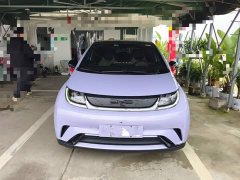 BYD Dolphin 420km Fashion Edition - ფოტო 2