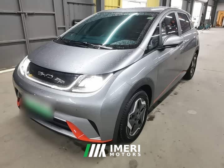 BYD Dolphin 405km Freedom Edition - ავტომობილი ჩინეთიდან