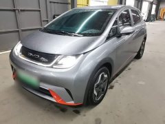 BYD Dolphin 405km Freedom Edition - ფოტო 1