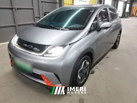 2022 BYD Dolphin 405km Freedom Edition