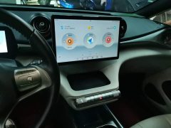 BYD Dolphin 405km Freedom Edition - ფოტო 12