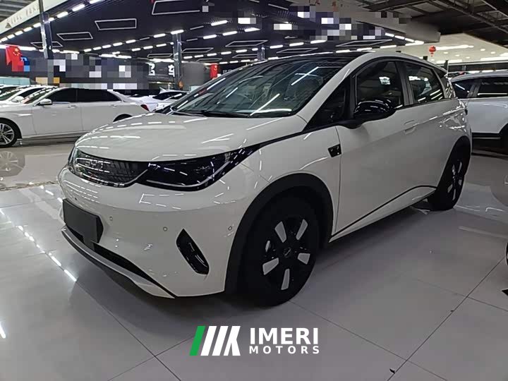 BYD Dolphin 2025 Smart Drive 410km Fashion Edition - ავტომობილი ჩინეთიდან