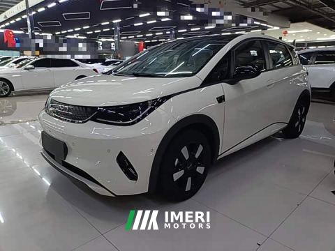 2026 BYD Dolphin Smart Drive 410km Fashion Edition - ავტომობილი ჩინეთიდან
