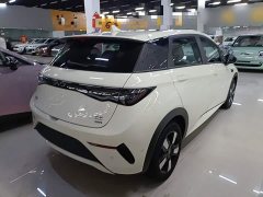 BYD Dolphin 2025 Smart Drive 410km Fashion Edition - ფოტო 6