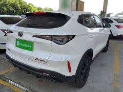 Changan X5 PLUS 1.5T DCT Pioneer Trim - ფოტო 6