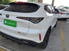 Changan X5 PLUS 1.5T DCT Pioneer Trim - ფოტო 7
