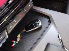Changan X5 PLUS 1.5T DCT Pioneer Trim - ფოტო 8