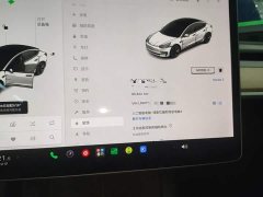 Tesla Model 3 Facelift Standard Range RWD Upgrade 3D1 - ფოტო 11