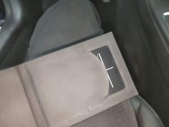 Tesla Model 3 Facelift Standard Range RWD Upgrade 3D1 - ფოტო 8