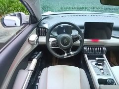 BYD Yuan Plus Champion Edition 510KM Transcendent - ფოტო 10