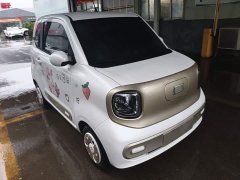 FAW Besturn Xiaoma 170km Vitality Edition - ფოტო 3