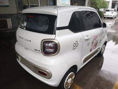 FAW Besturn Xiaoma 170km Vitality Edition - ფოტო 6