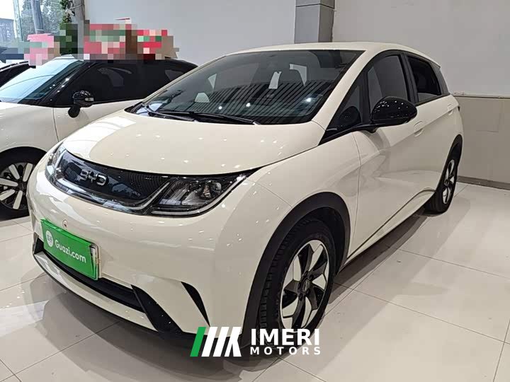 BYD Dolphin 420km Freedom Edition