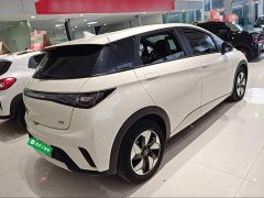 BYD Dolphin 420km Freedom Edition - ფოტო 4