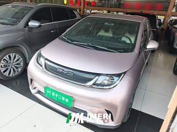 BYD Dolphin 405km Freedom Edition - ავტომობილი ჩინეთიდან