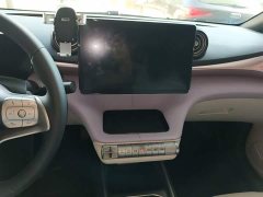 BYD Dolphin 405km Freedom Edition - ფოტო 12