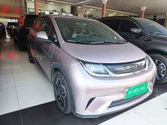 BYD Dolphin 405km Freedom Edition - ფოტო 3