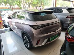 BYD Dolphin 405km Freedom Edition - ფოტო 4