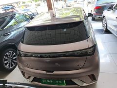 BYD Dolphin 405km Freedom Edition - ფოტო 5