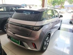 BYD Dolphin 405km Freedom Edition - ფოტო 6