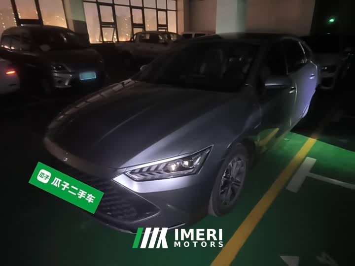 BYD Qin PLUS Glory Edition DM-i 55KM Leading