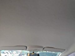 FAW Besturn NAT Online Ride-hailing Edition - ფოტო 17