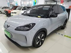 Wuling Binguo PLUS 510km Flagship Four-Seater - ფოტო 1