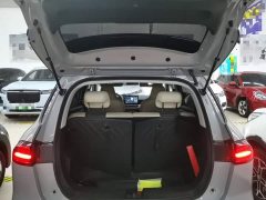 Wuling Binguo PLUS 510km Flagship Four-Seater - ფოტო 18