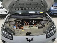 Wuling Binguo PLUS 510km Flagship Four-Seater - ფოტო 19