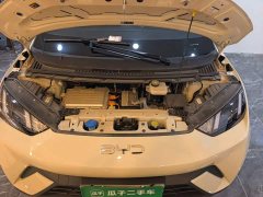 BYD Seagull 2023 Freedom Edition - ფოტო 10