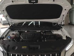 FAW Red Flag HS5 2.0T AWD Flagship Enjoy Pro - ფოტო 19