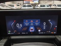 Ford Edge L 2.0T EcoBoost FWD Seven-Seat Luxury - ფოტო 11