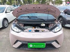 BYD Seagull 2025 305km Freedom Edition - ფოტო 19